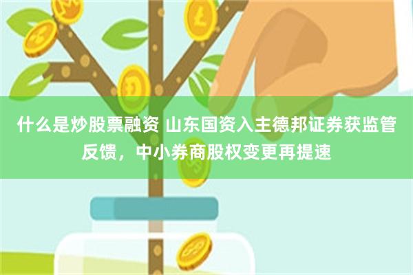 什么是炒股票融资 山东国资入主德邦证券获监管反馈，中小券商股权变更再提速