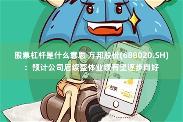 股票杠杆是什么意思 方邦股份(688020.SH)：预计公司