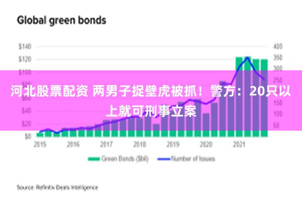 河北股票配资 两男子捉壁虎被抓！警方：20只以上就可刑事立案