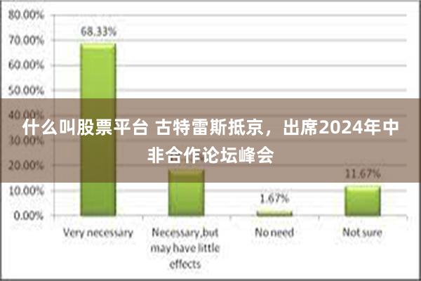 什么叫股票平台 古特雷斯抵京，出席2024年中非合作论坛峰会