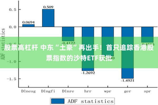 股票高杠杆 中东“土豪”再出手！首只追踪香港股票指数的沙特ETF获批