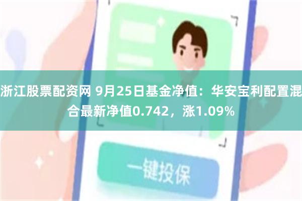 浙江股票配资网 9月25日基金净值：华安宝利配置混合最新净值0.742，涨1.09%