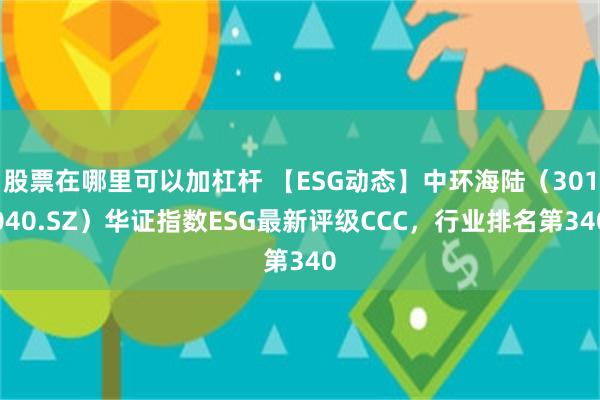 股票在哪里可以加杠杆 【ESG动态】中环海陆（301040.SZ）华证指数ESG最新评级CCC，行业排名第340