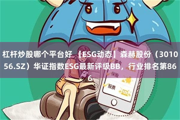 杠杆炒股哪个平台好 【ESG动态】森赫股份（301056.SZ）华证指数ESG最新评级BB，行业排名第86