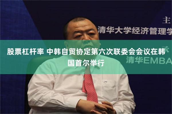 股票杠杆率 中韩自贸协定第六次联委会会议在韩国首尔举行