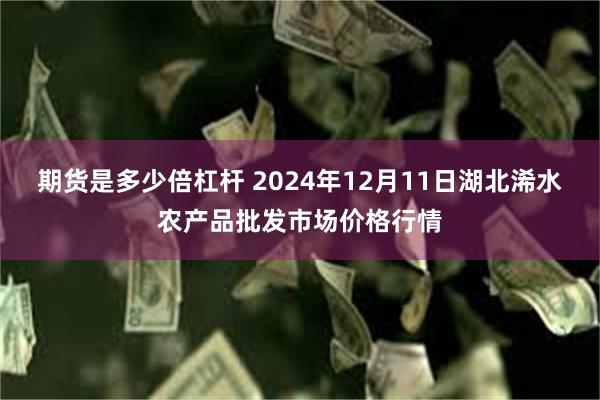 期货是多少倍杠杆 2024年12月11日湖北浠水农产品批发市场价格行情