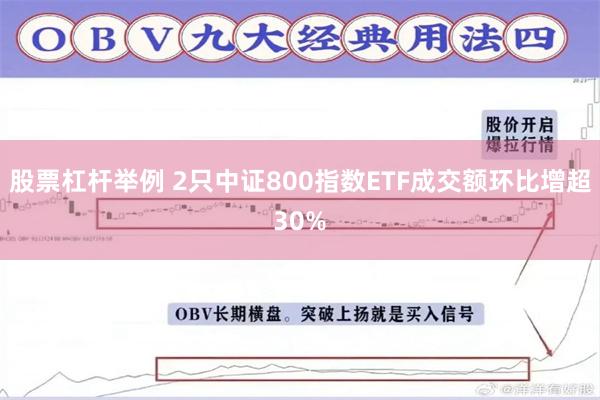 股票杠杆举例 2只中证800指数ETF成交额环比增超30%