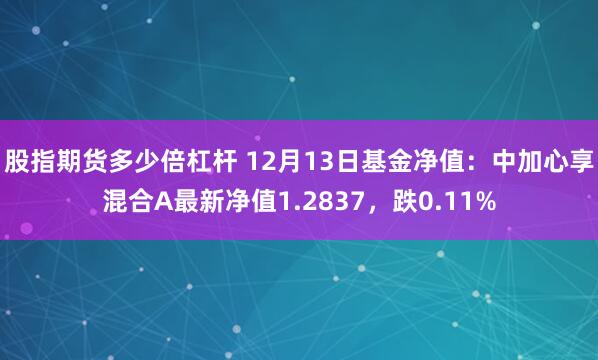 股指期货多少倍杠杆 12月13日基金净值：中加心享混合A最新净值1.2837，跌0.11%