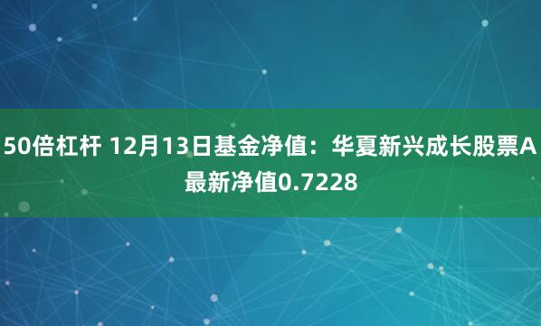 50倍杠杆 12月13日基金净值：华夏新兴成长股票A最新净值0.7228