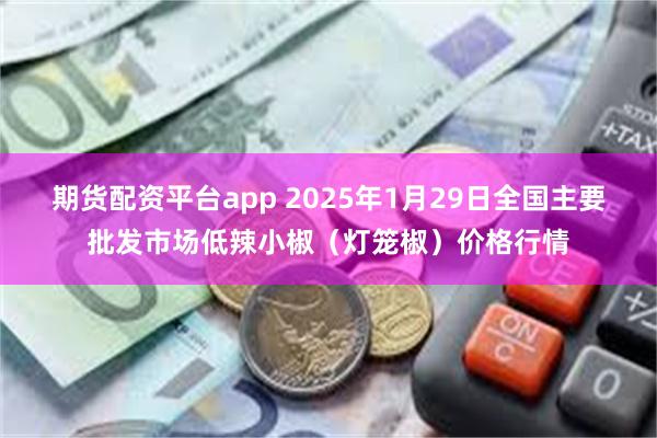 期货配资平台app 2025年1月29日全国主要批发市场低辣小椒（灯笼椒）价格行情