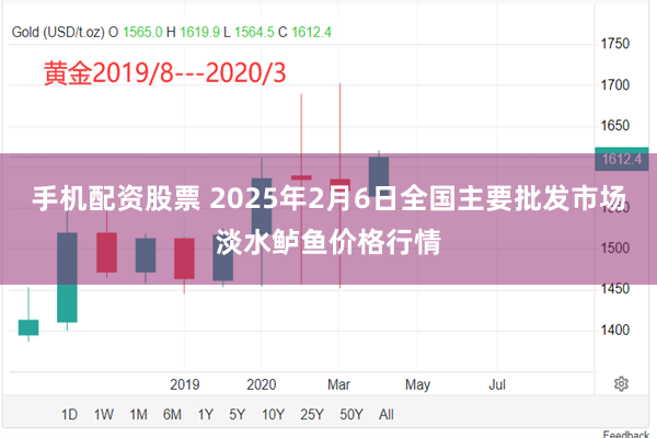 手机配资股票 2025年2月6日全国主要批发市场淡水鲈鱼价格行情