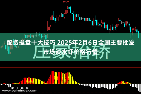 配资操盘十大技巧 2025年2月6日全国主要批发市场淡水虾价格行情