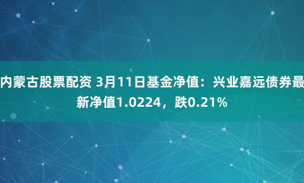 内蒙古股票配资 3月11日基金净值：兴业嘉远债券最新净值1.0224，跌0.21%