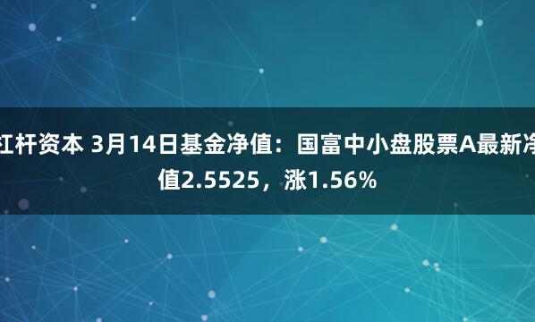 杠杆资本 3月14日基金净值：国富中小盘股票A最新净值2.5525，涨1.56%