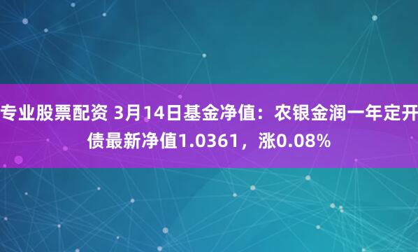 专业股票配资 3月14日基金净值：农银金润一年定开债最新净值1.0361，涨0.08%